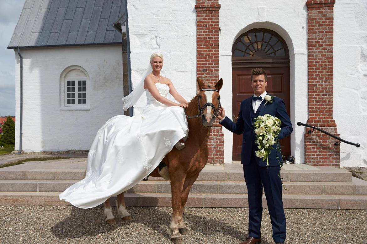 Tyroler Haflinger Alain - Bryllup d. 1. august 2015 billede 5