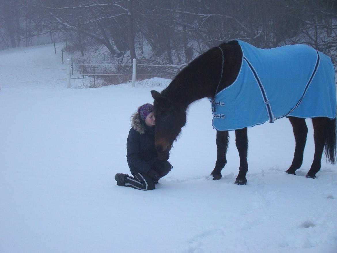 Dansk Varmblod Sabine Esperanza - <3 billede 20