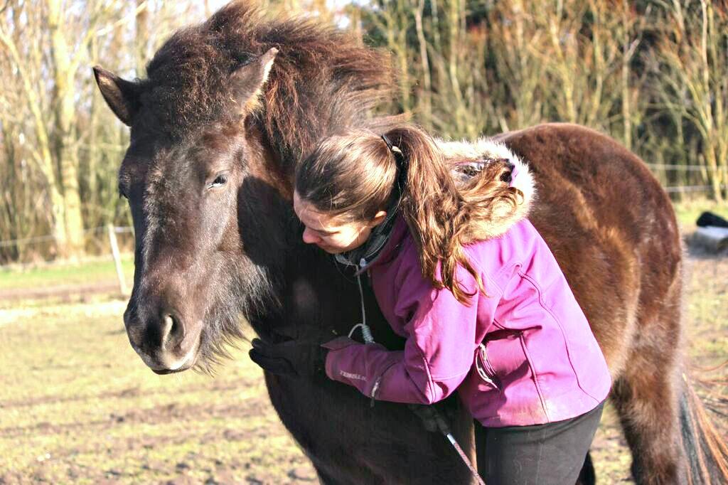 Islænder Blika fra Røllum - Vi kan lige hvad vi vil. <3 billede 19