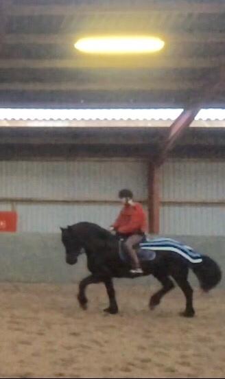 Frieser Lobke Fan It Jaachpaad billede 6