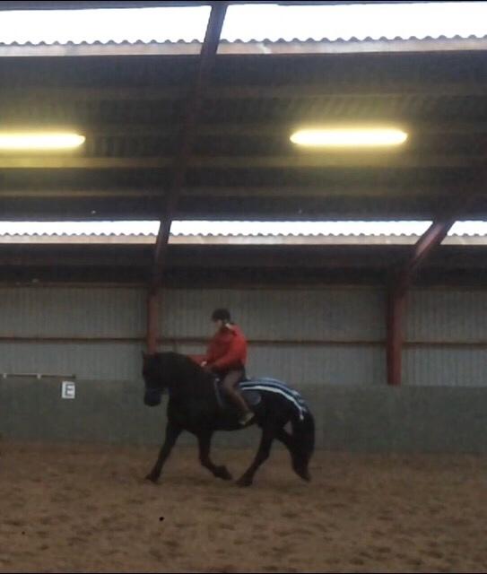 Frieser Lobke Fan It Jaachpaad billede 9