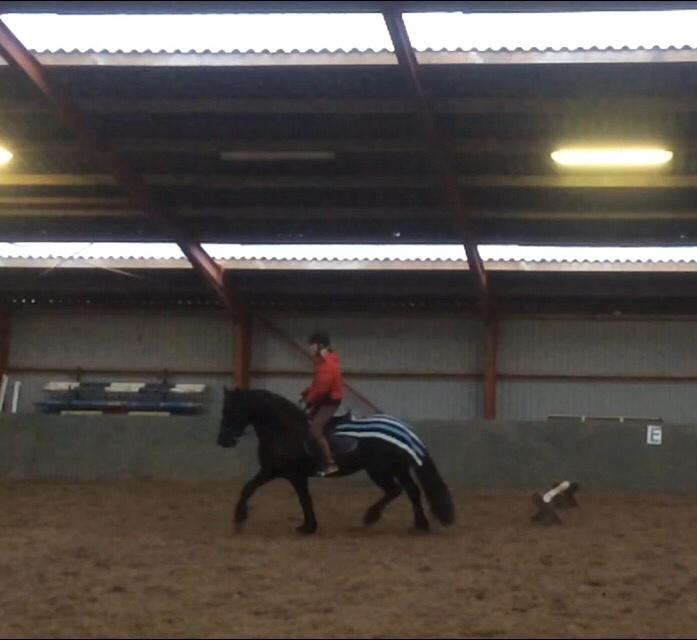 Frieser Lobke Fan It Jaachpaad billede 13