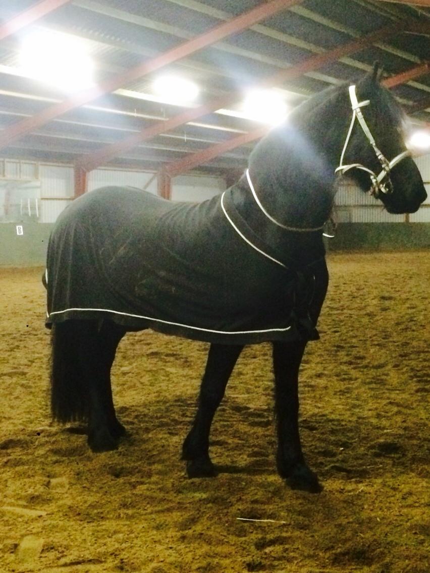 Frieser Lobke Fan It Jaachpaad billede 17