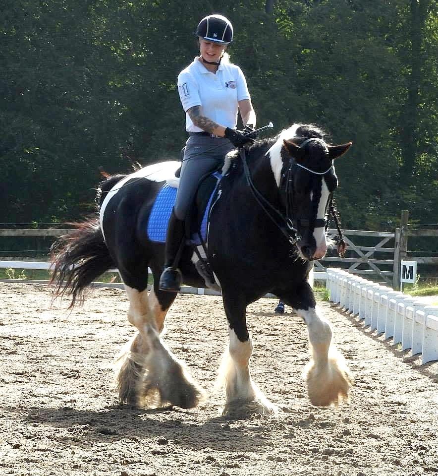 Drumhorse Lord Korpus King Keen - Godkendt i EU og GCDHA billede 10