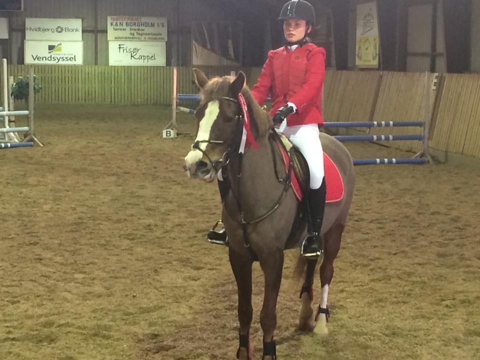 Anden særlig race Hanna Montana billede 21