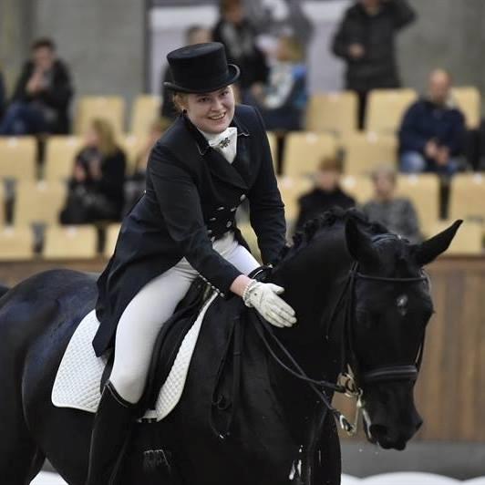 Hannoveraner Pegasus Hollmann - A hest billede 14