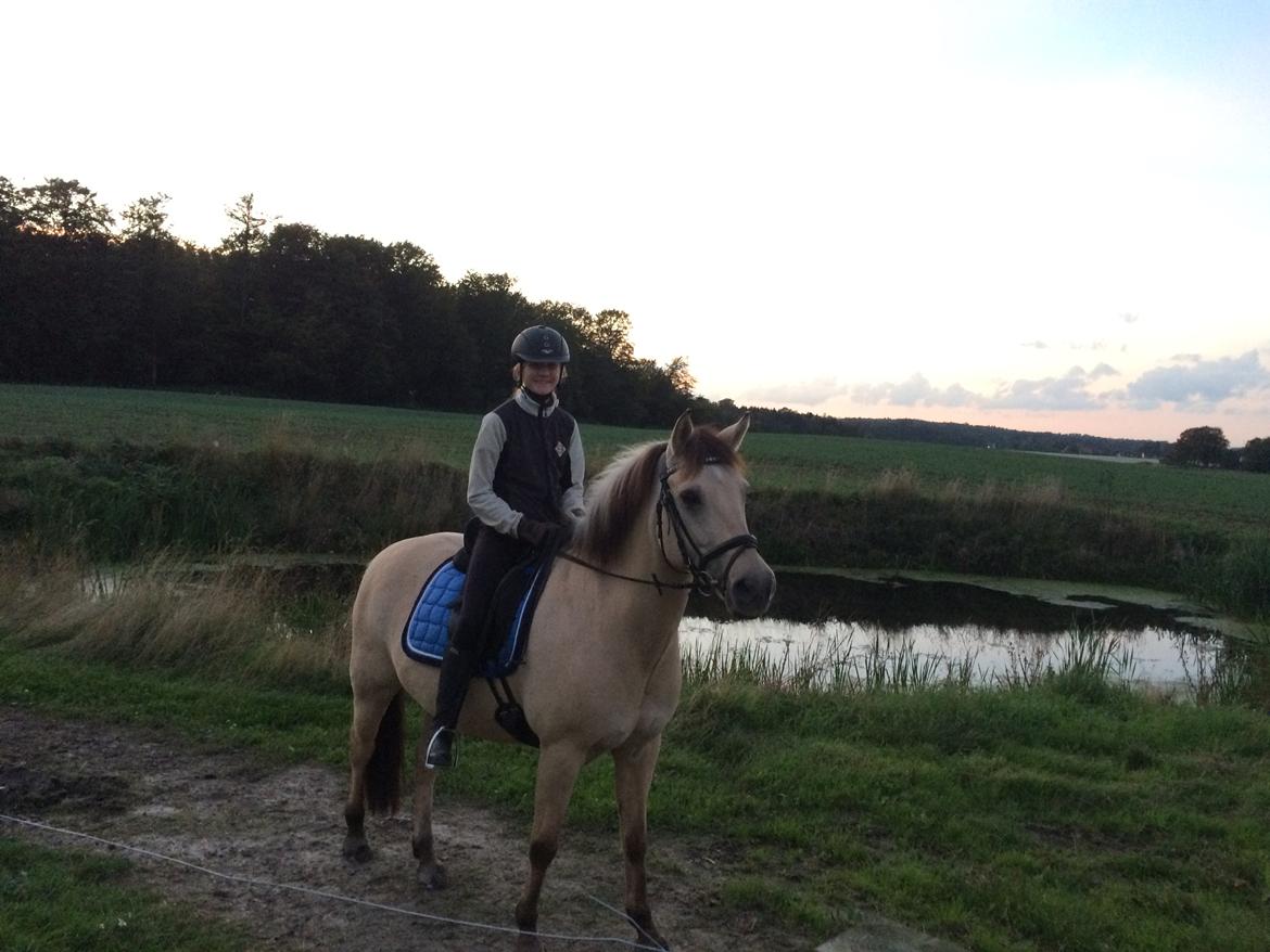 Anden særlig race Felix billede 16