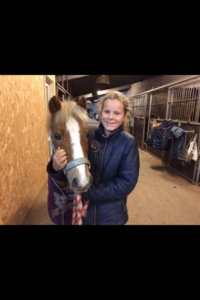 Welsh Mountain (sec A) Rudolf billede 11