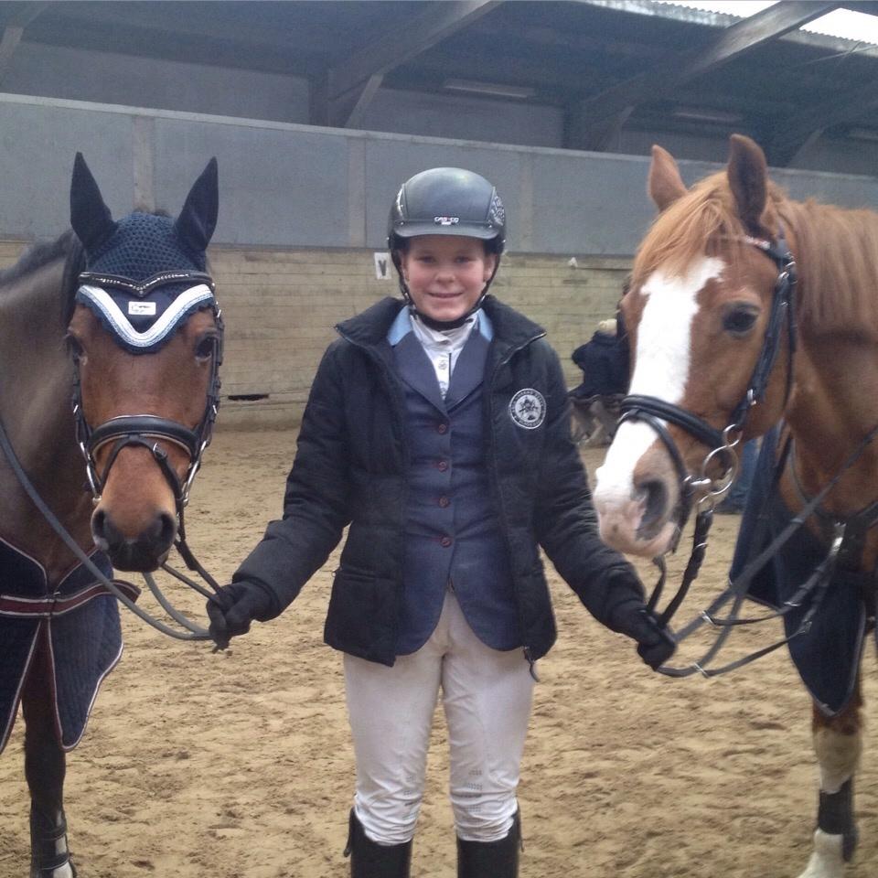 Anden særlig race Misty billede 15