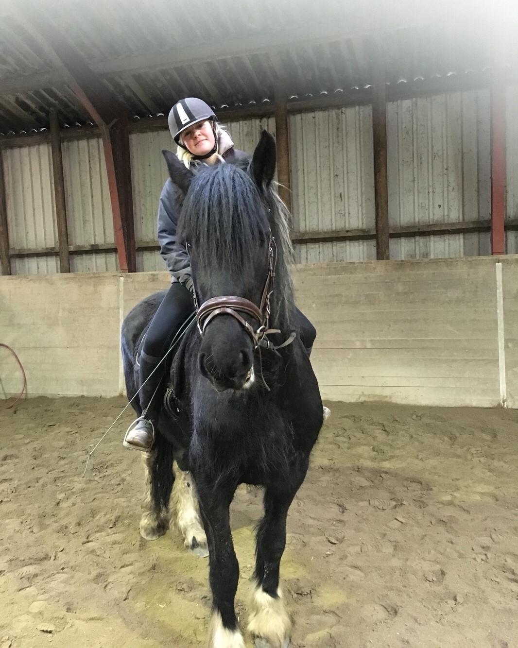 Frieser Afroditte billede 18