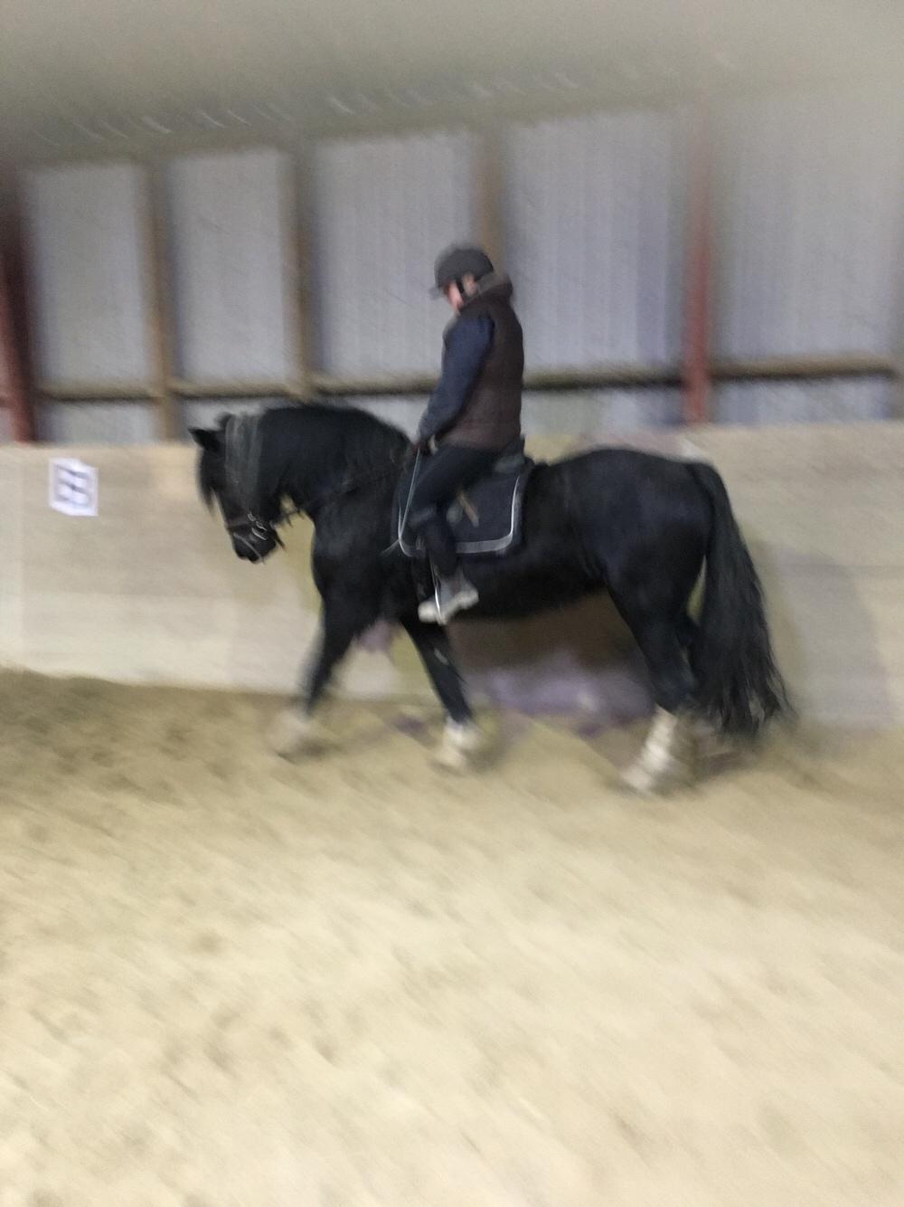 Frieser Afroditte billede 19