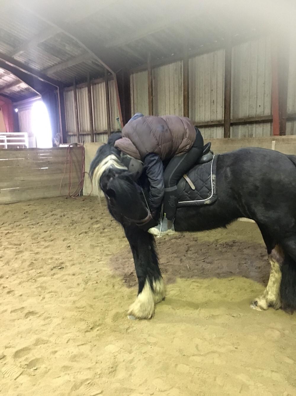 Frieser Afroditte billede 20