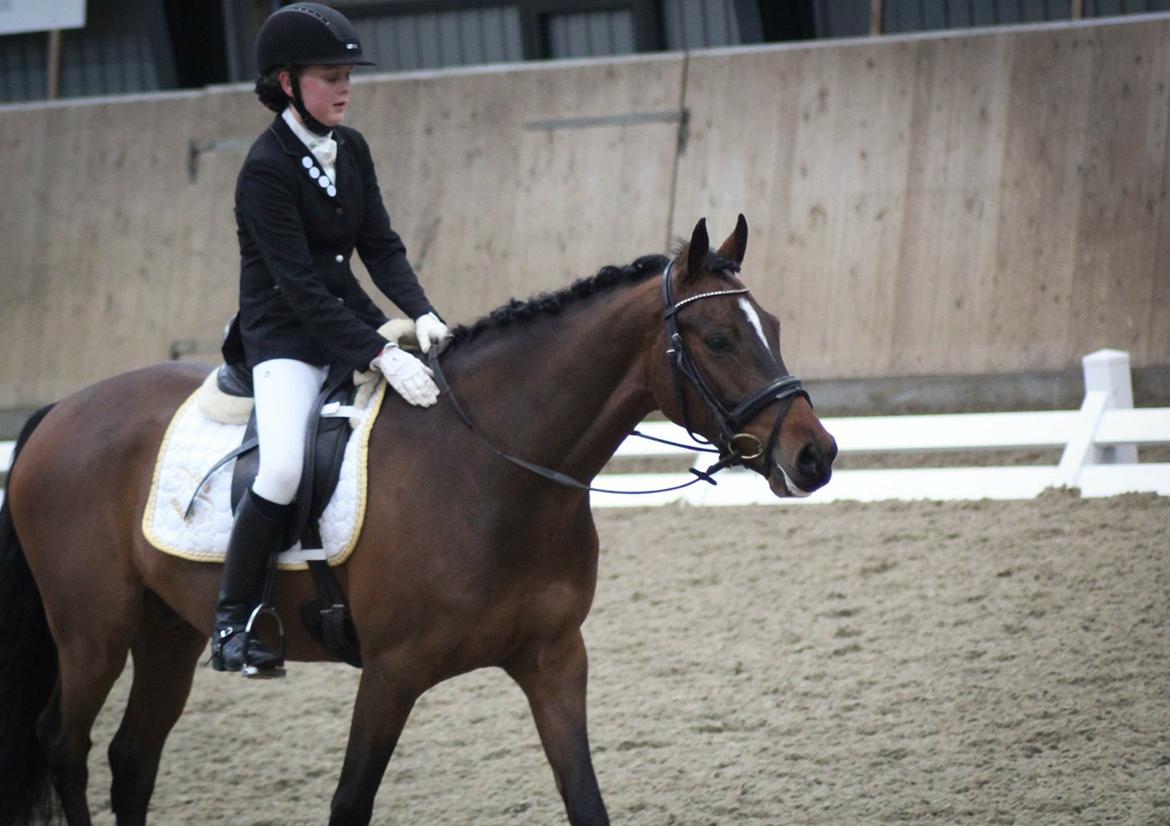 Tysk Sportspony Mini Cooper 5 billede 14