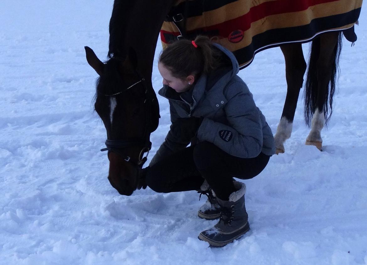 Tysk Sportspony Mini Cooper 5 billede 16