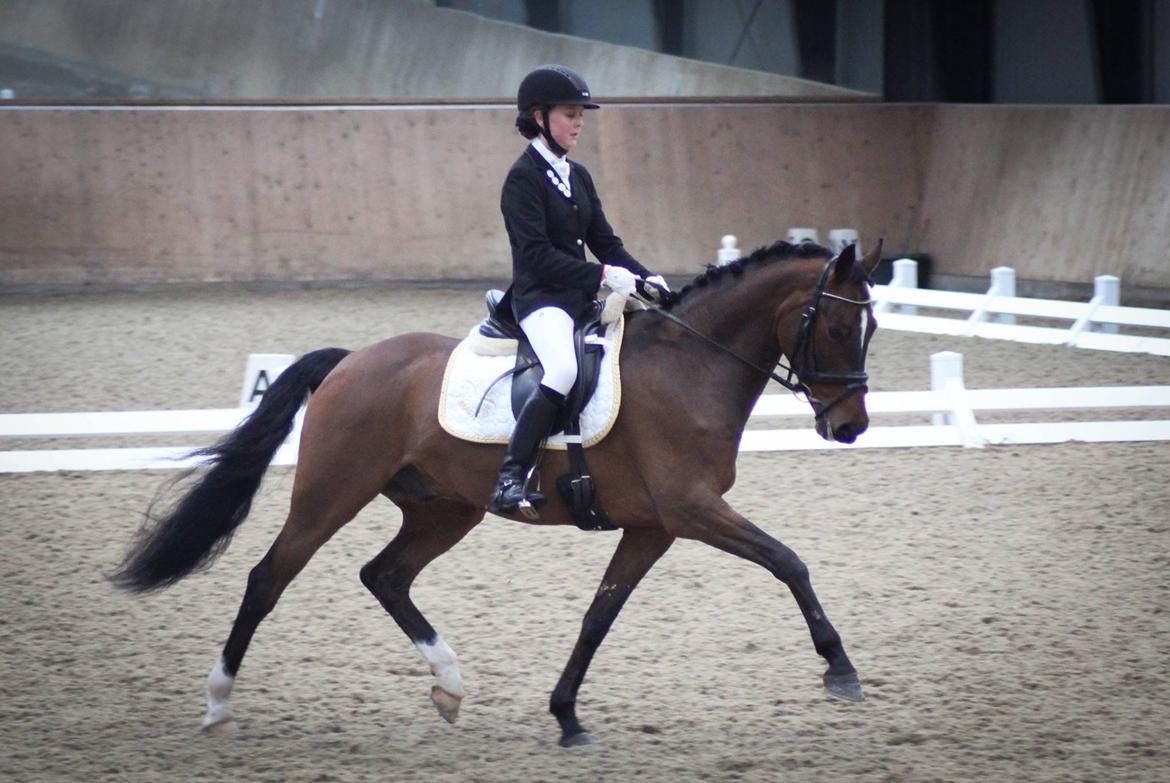 Tysk Sportspony Mini Cooper 5 billede 7