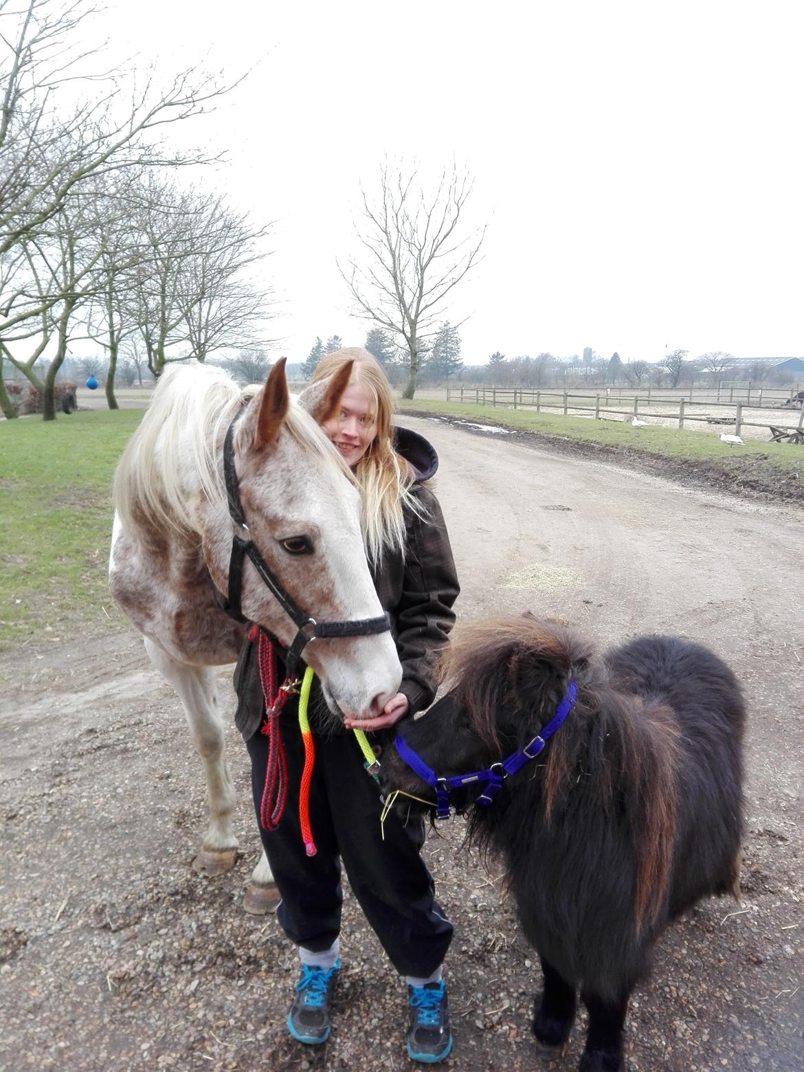 Anden særlig race Kloster's Diamond Aika billede 6