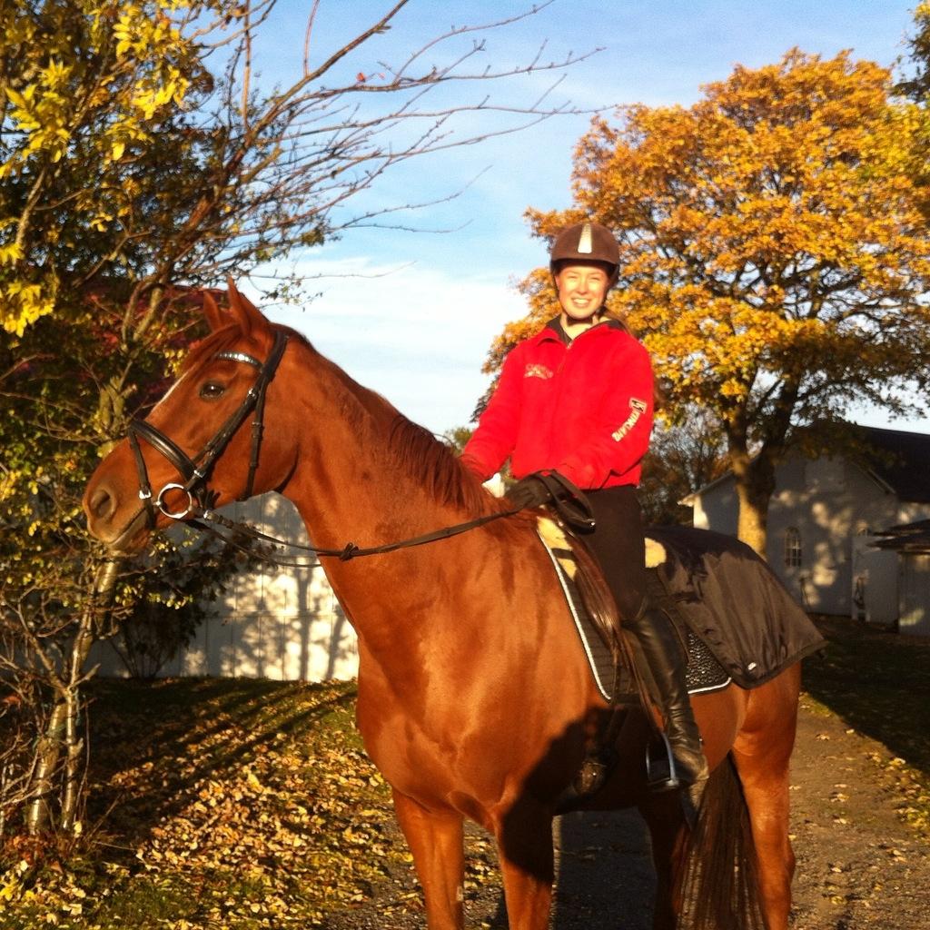 Fuldblod (XX) Red lightning xx (den) billede 20