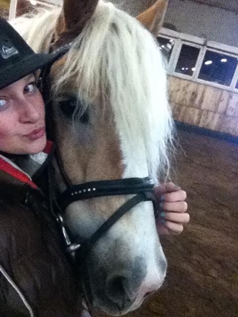 Haflinger Ferrari Bakkely - har savnet dig min elskede pony ❤️ billede 22