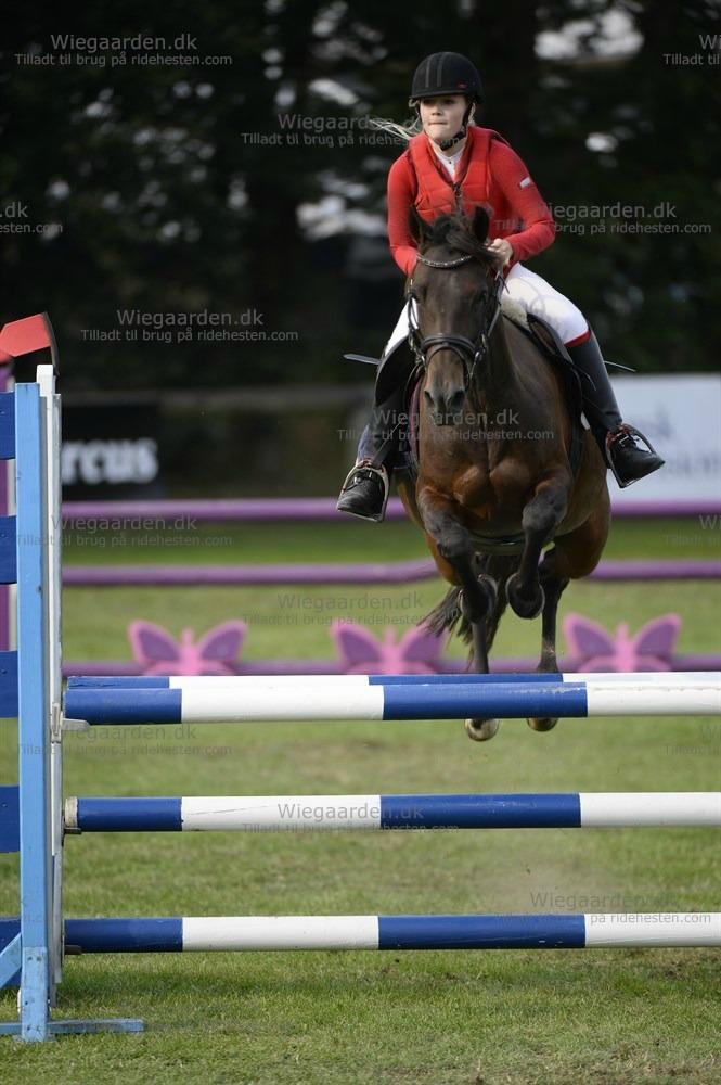 DSP Day-lights naomi billede 2