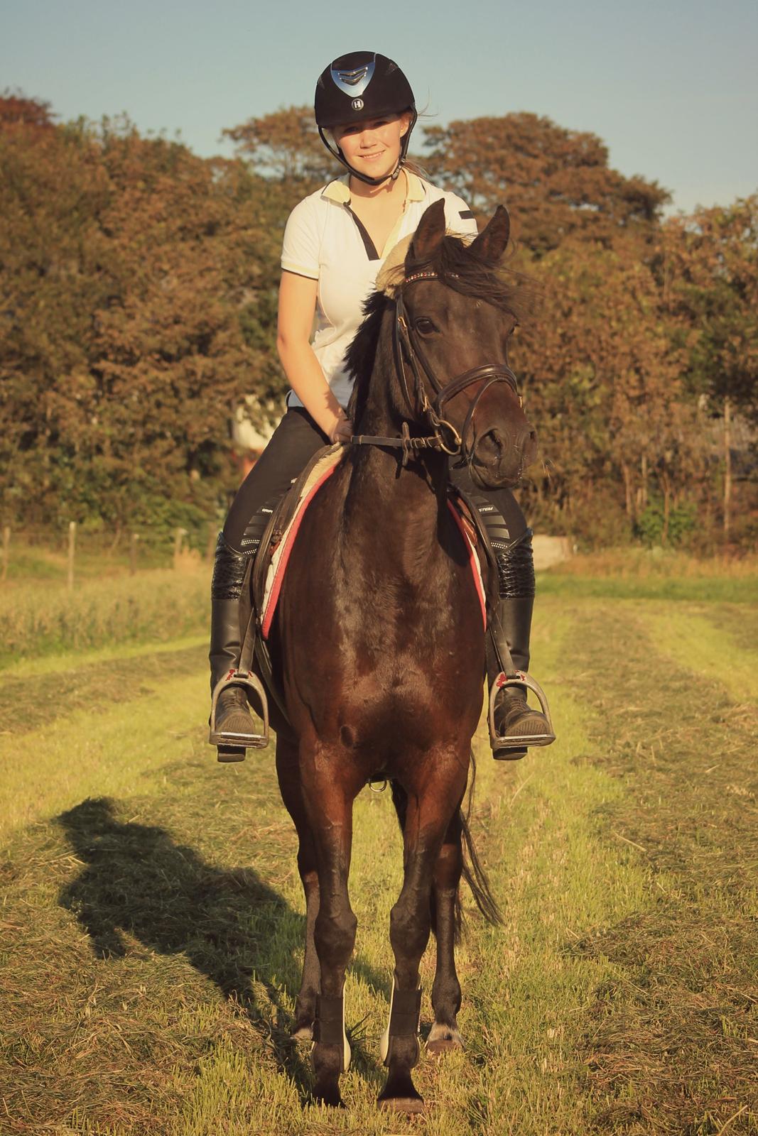 DSP Day-lights naomi billede 50