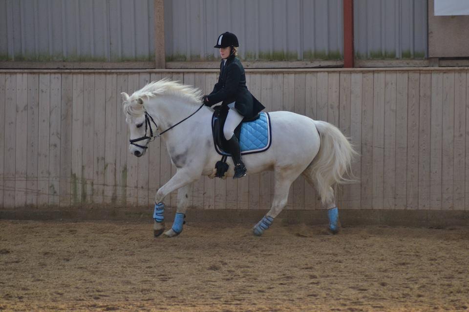 Anden særlig race MR. Mayson billede 1