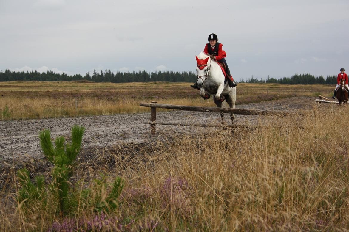 Anden særlig race MR. Mayson billede 3
