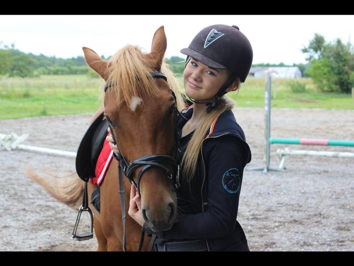 New Forest Nina (Ninja) billede 12