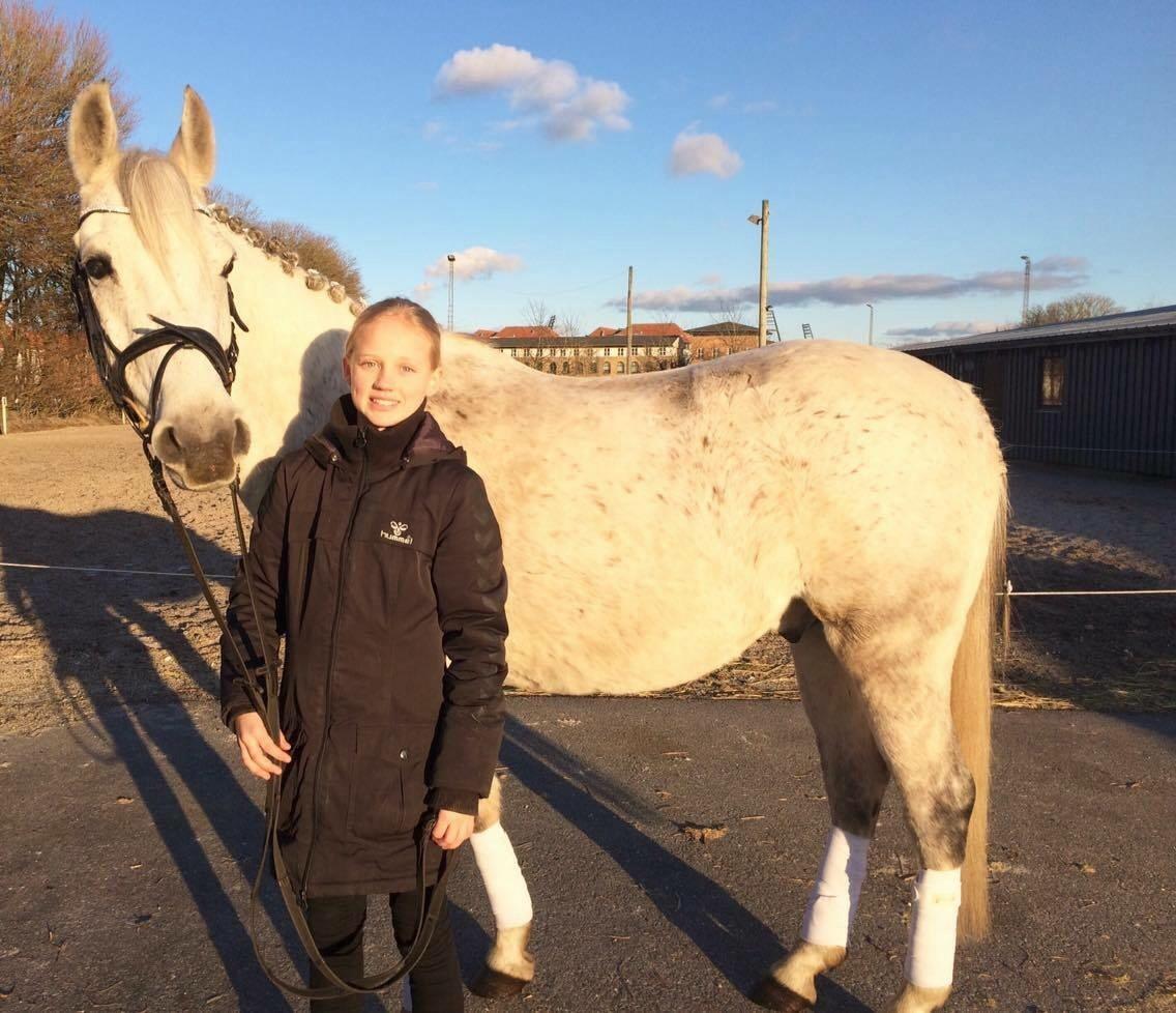 Anden særlig race Playboy Comet billede 4