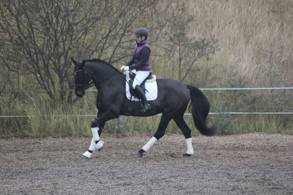 Oldenborg Flying Betty billede 19