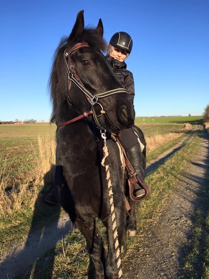 Frieser Stålkærgaards Fritz billede 20