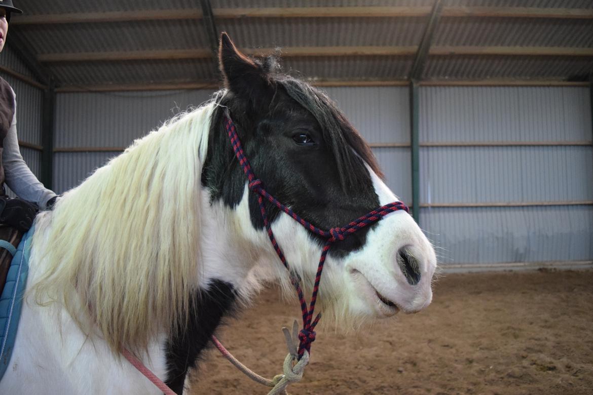 Tinker Kenzo's thumps up *kenny*  billede 11