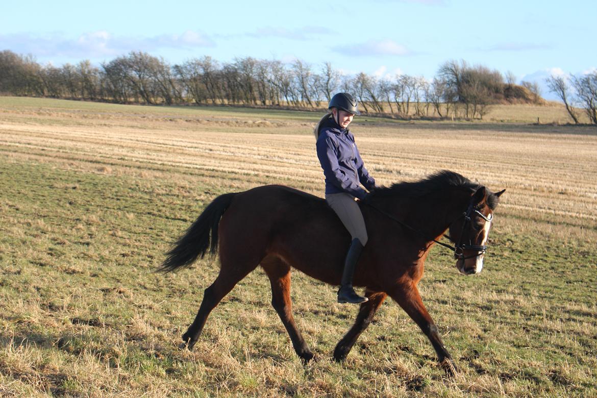 DSP Ronja  - Februar 2016 <3 billede 9