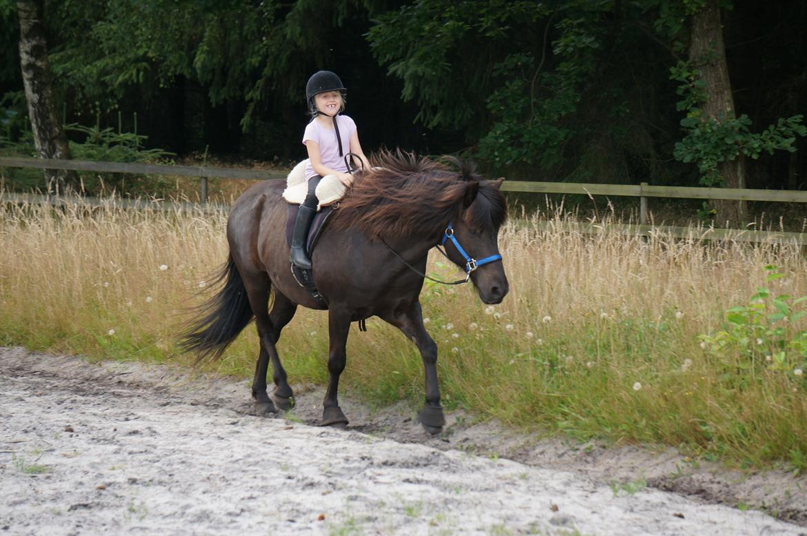 Islænder Freki fra Truust - Verdens bedste børnepony :P billede 20