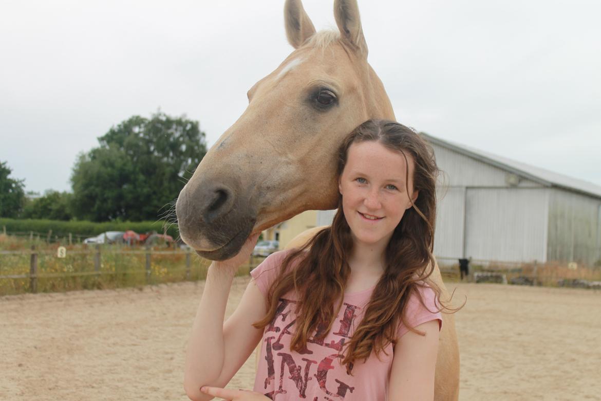 Palomino Slotshus Kalif *SOLGT* - Elsker denne smukke hest højere en noget andet<3<3 billede 8