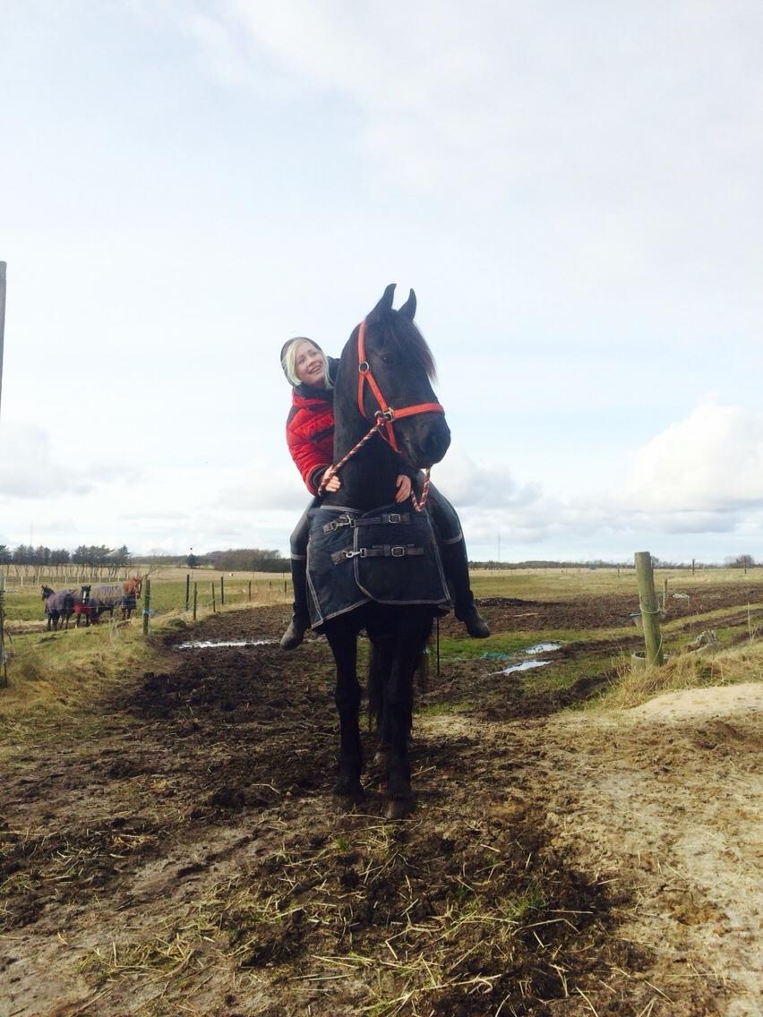 Frieser Lobke Fan It Jaachpaad billede 3