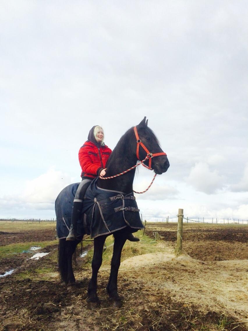 Frieser Lobke Fan It Jaachpaad billede 1