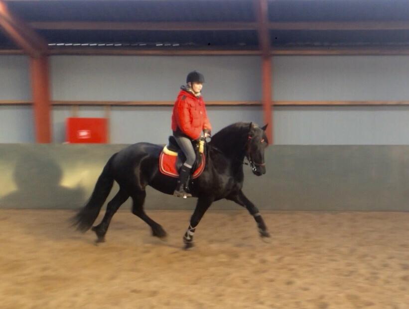 Frieser Lobke Fan It Jaachpaad billede 4