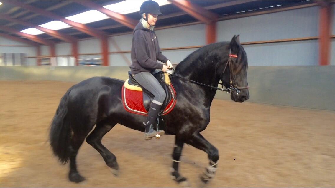 Frieser Lobke Fan It Jaachpaad billede 5