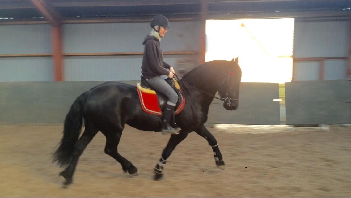 Frieser Lobke Fan It Jaachpaad billede 7