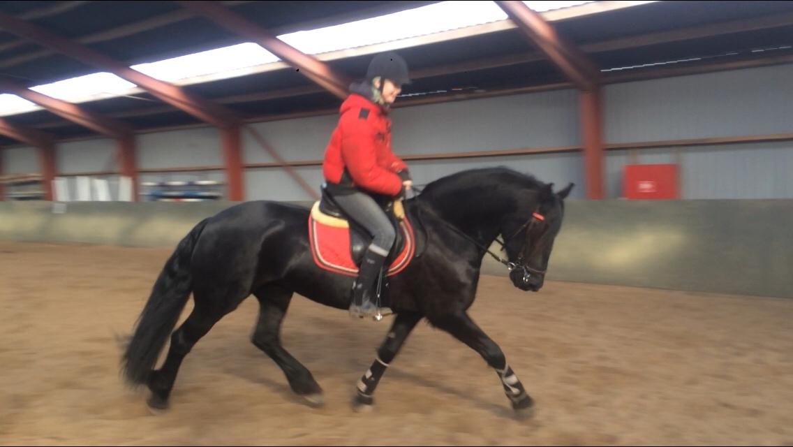 Frieser Lobke Fan It Jaachpaad billede 8