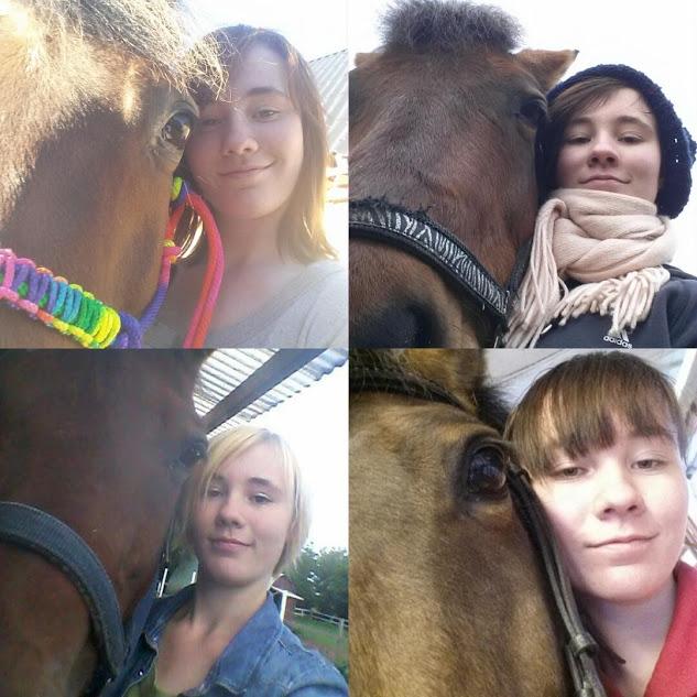 New Forest Baltazar - Foto: mig. Selfie drengen <3 (2014- 2016) billede 3