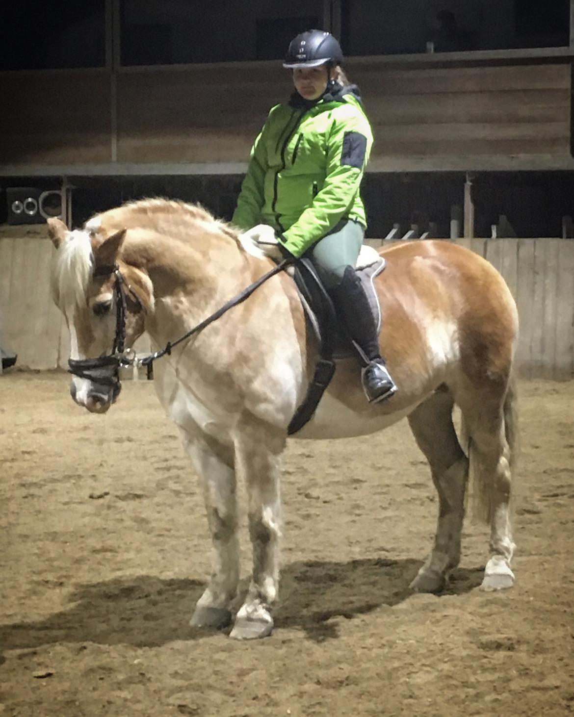 Haflinger Sandals Maximillian billede 5