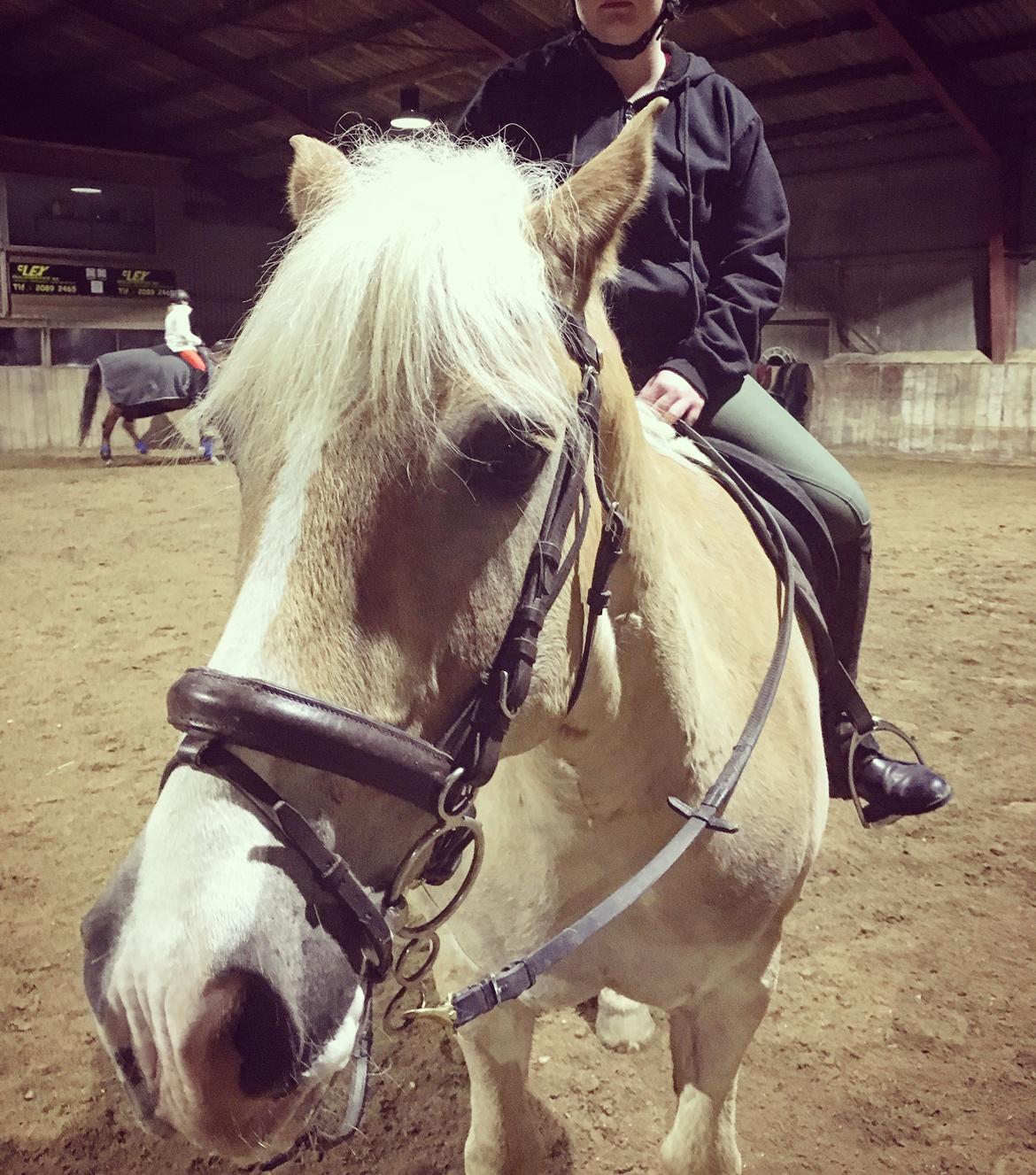 Haflinger Sandals Maximillian billede 6