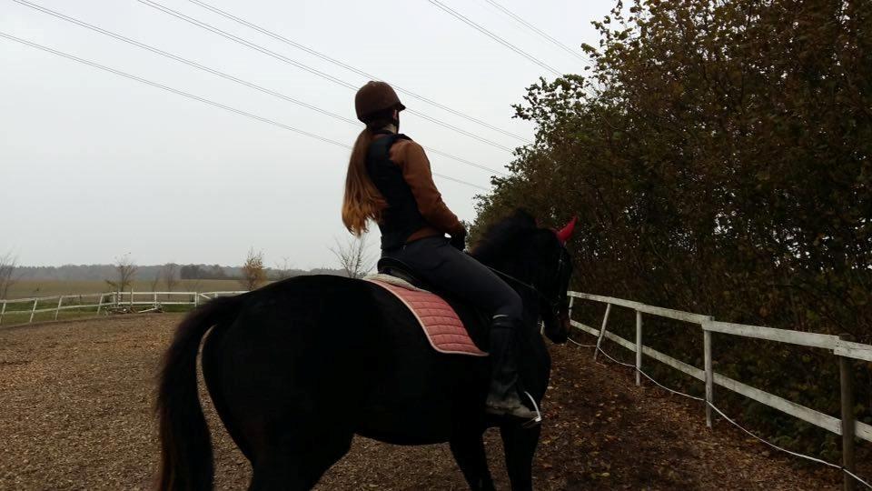 Oldenborg Isabella Højbo billede 5