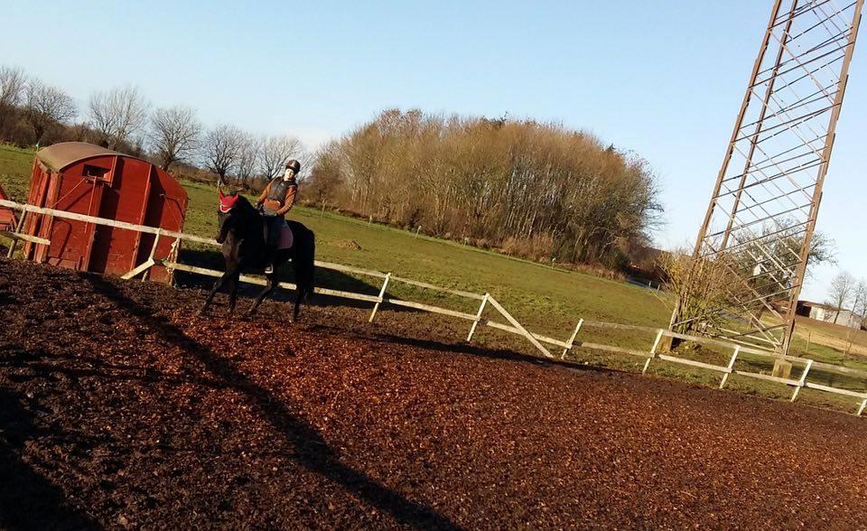 Oldenborg Isabella Højbo billede 6