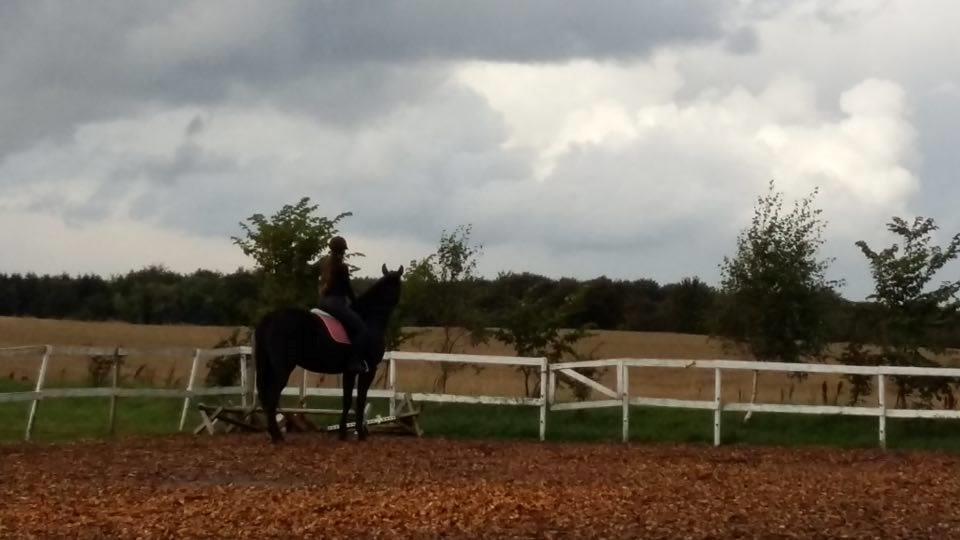 Oldenborg Isabella Højbo billede 4