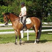 Anden særlig race Esmaralda