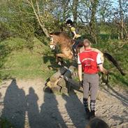 Anden særlig race Lille gut *Part* *død*