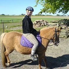 Anden særlig race Rita / Rosa