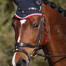 Tysk Sportspony Chemin De Royal  *Solgt